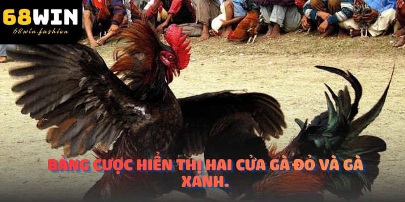 Bảng cược hiển thị hai cửa gà đỏ và gà xanh.