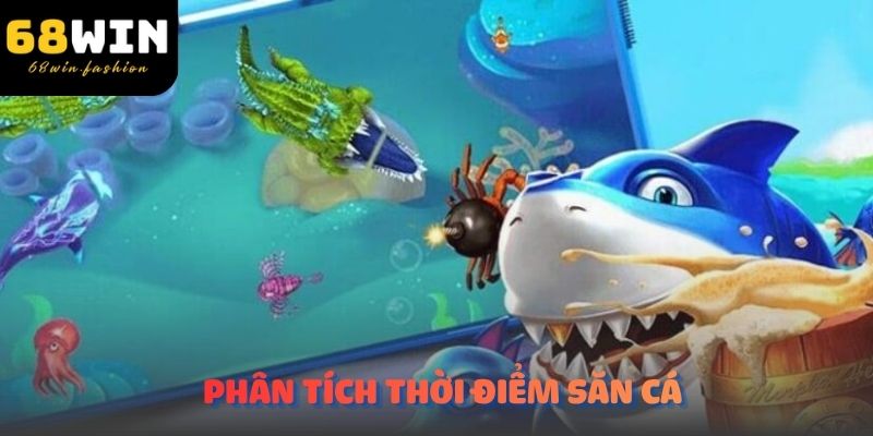 Biểu đồ phân tích thời điểm săn cá hiệu quả trong game