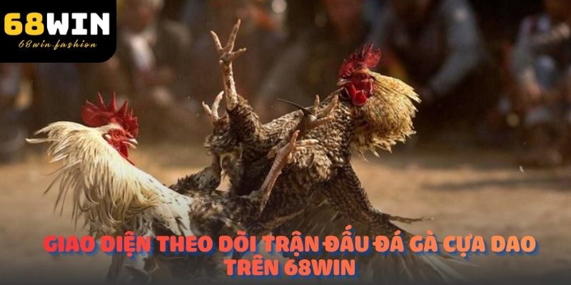 Giao diện theo dõi trận đấu đá gà cựa dao trên 68WIN