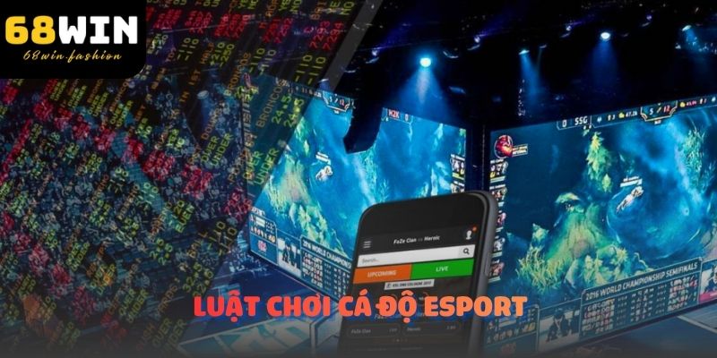 Luật chơi cá độ Esport 