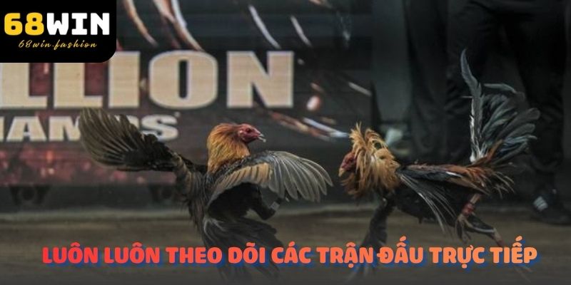 Luôn luôn theo dõi các trận đấu trực tiếp tại 68WIN để cải thiện tỷ lệ thắng của mình