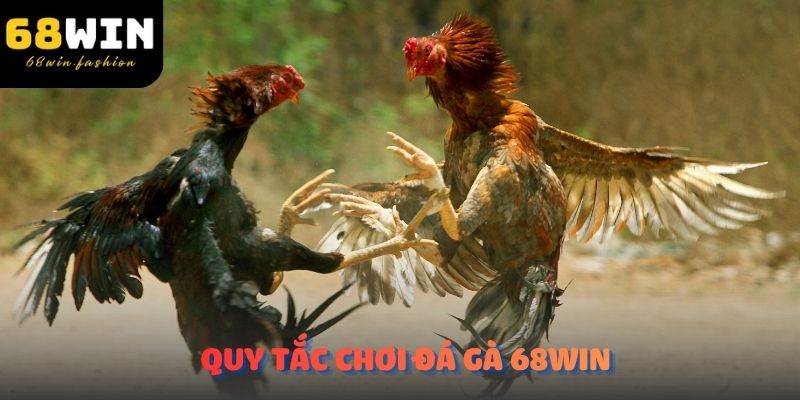 Quy tắc chơi đá gà 68Win