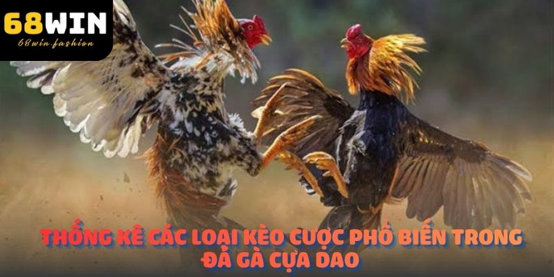 Thống kê các loại kèo cược phổ biến trong đá gà cựa dao